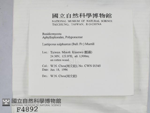 登錄號:F0004892藏品圖，第2張