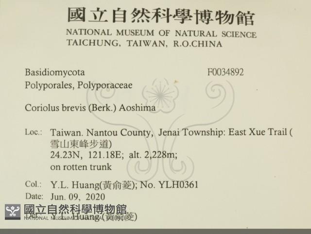 登錄號:F0034892藏品圖，第2張