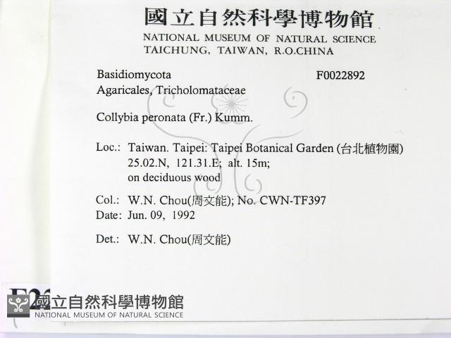 登錄號:F0022892藏品圖，第2張