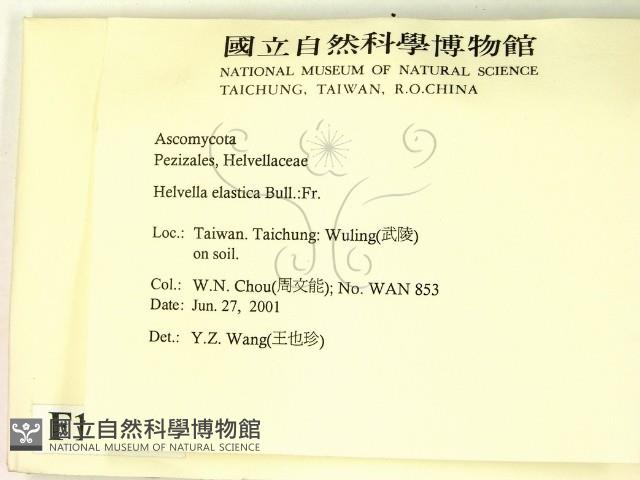 登錄號:F0012892藏品圖，第2張