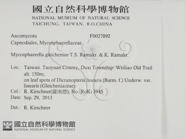 登錄號:F0027892藏品圖，第2張