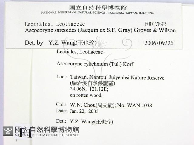 登錄號:F0017892藏品圖，第2張