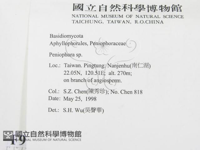 筍殼菌屬藏品圖，第2張