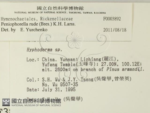 登錄號:F0003892藏品圖，第2張