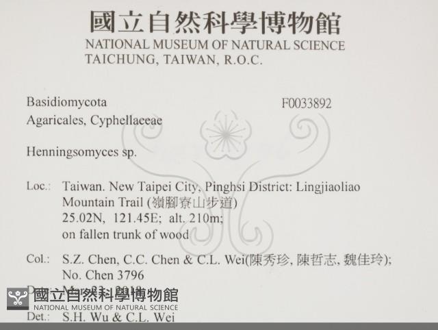 登錄號:F0033892藏品圖，第2張