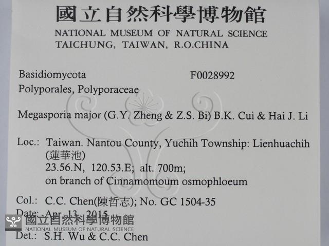 登錄號:F0028992藏品圖，第2張