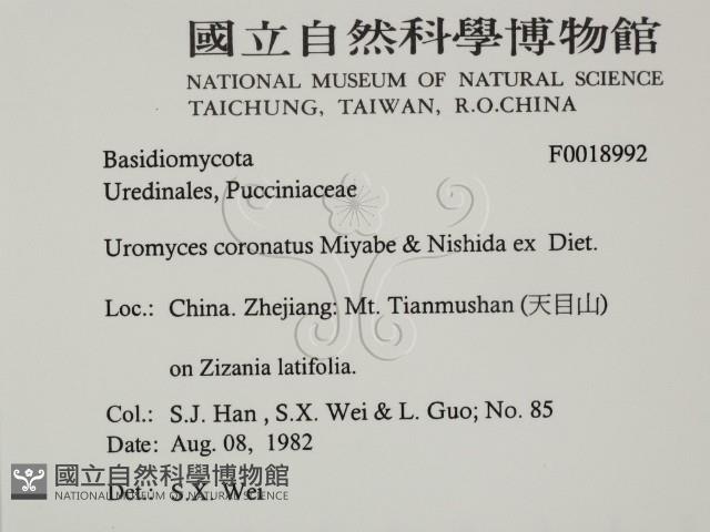 登錄號:F0018992藏品圖，第2張