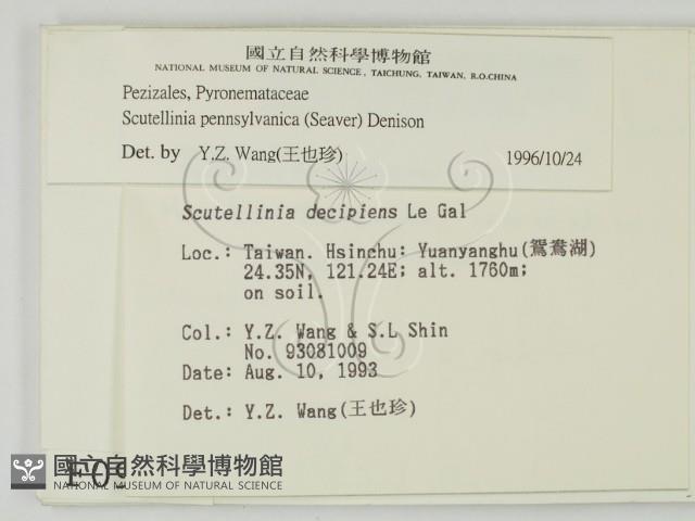 登錄號:F0000992藏品圖，第2張