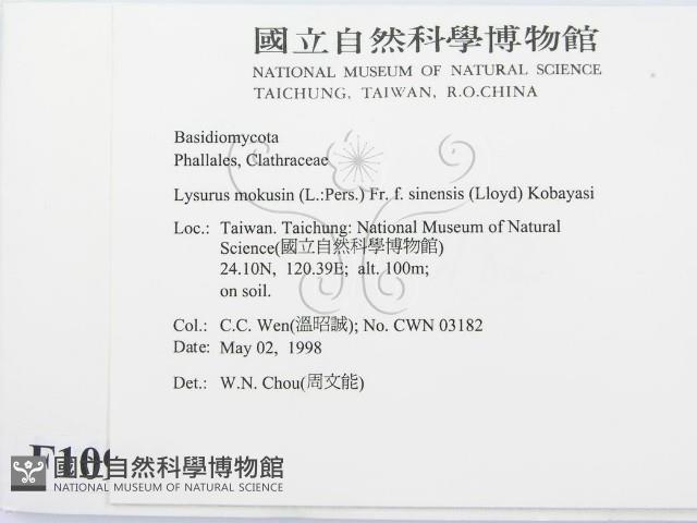 登錄號:F0010992藏品圖，第2張