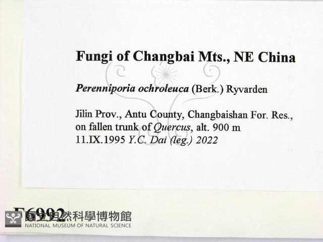 登錄號:F0006992藏品圖，第2張