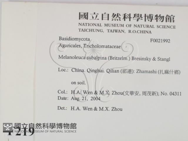 登錄號:F0021992藏品圖，第2張