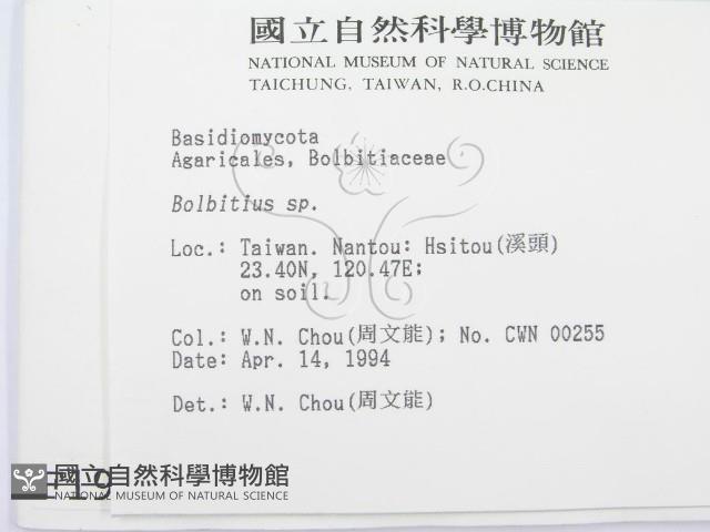 登錄號:F0001992藏品圖，第2張