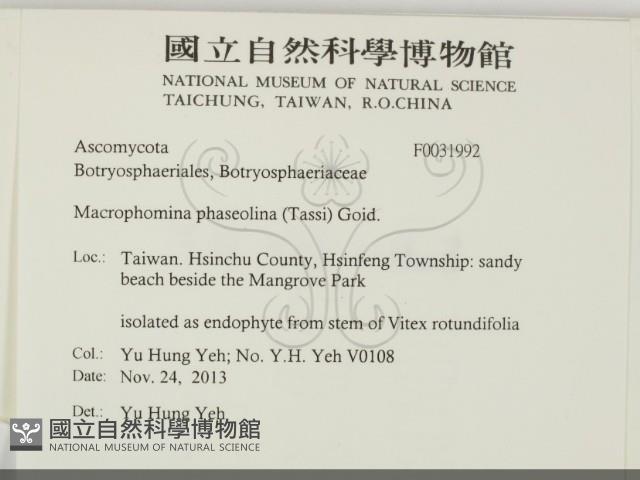 登錄號:F0031992藏品圖，第2張