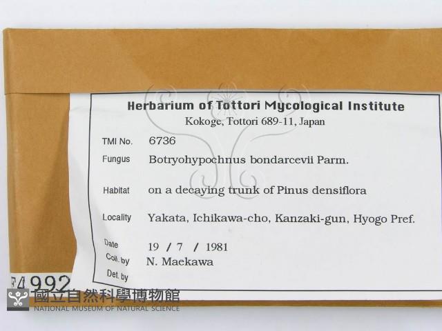 登錄號:F0004992藏品圖，第2張