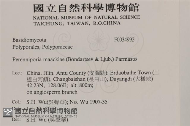 登錄號:F0034992藏品圖，第2張