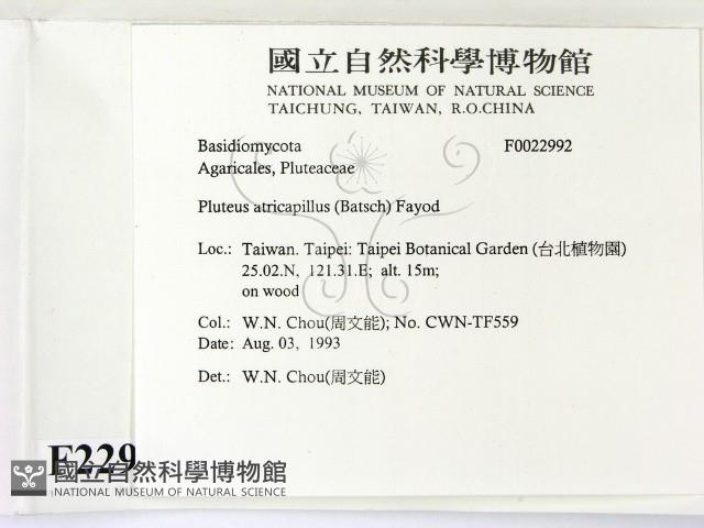 登錄號:F0022992藏品圖，第2張