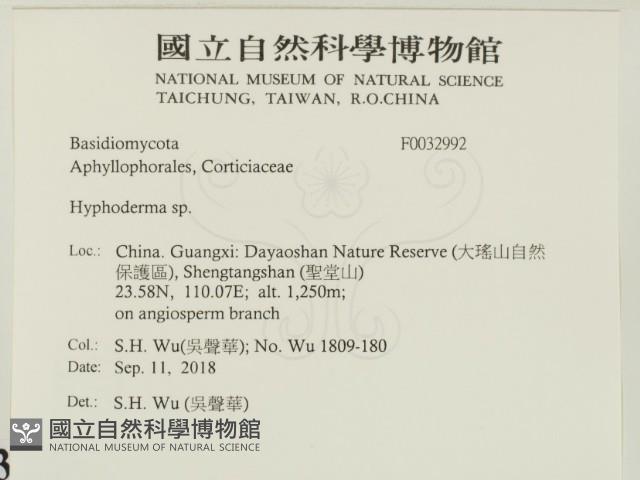 絲皮菌屬藏品圖，第2張