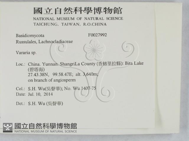 登錄號:F0027992藏品圖，第2張