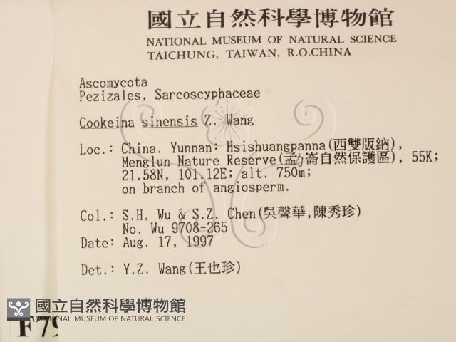 登錄號:F0007992藏品圖，第2張