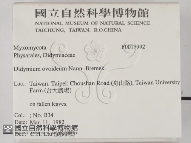 登錄號:F0017992藏品圖，第2張