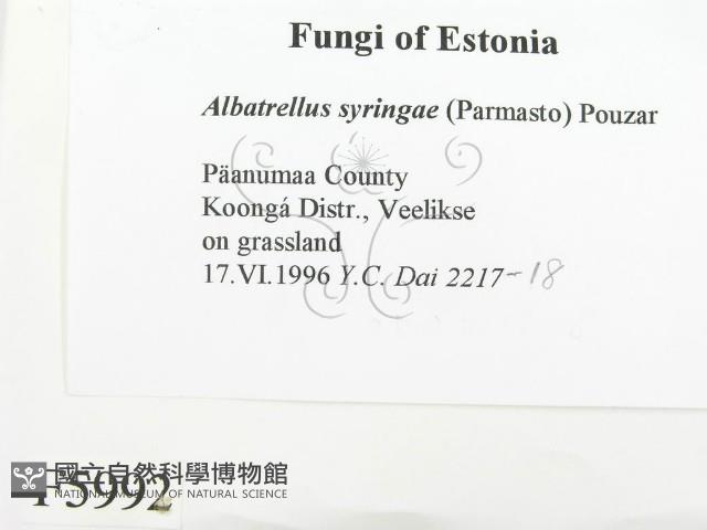 登錄號:F0005992藏品圖，第2張