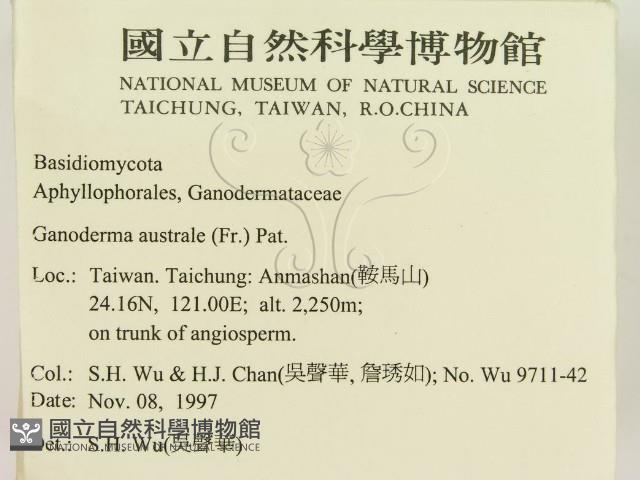 登錄號:F0009992藏品圖，第2張