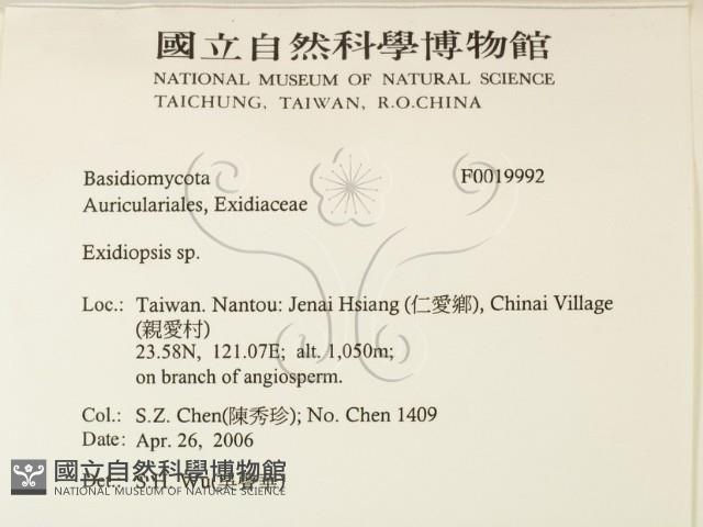 登錄號:F0019992藏品圖，第2張