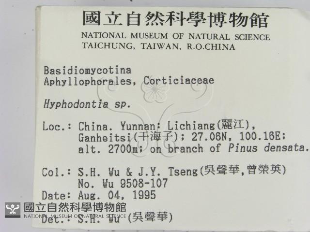 登錄號:F0003992藏品圖，第2張