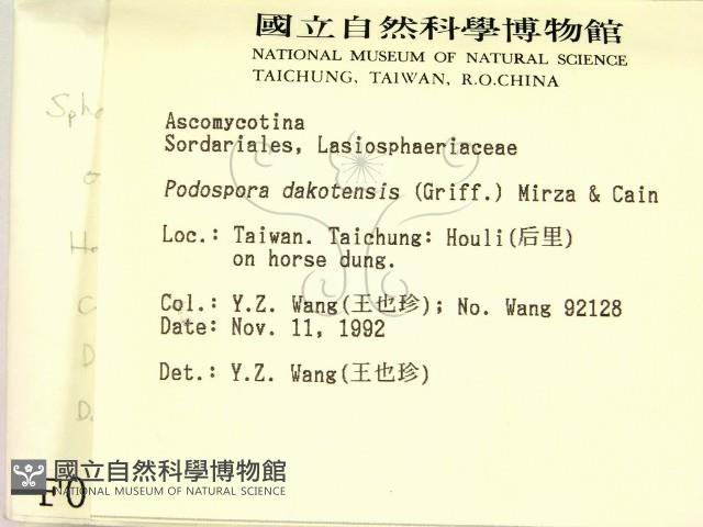登錄號:F0000692藏品圖，第2張