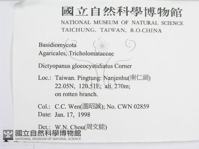 登錄號:F0010692藏品圖，第2張