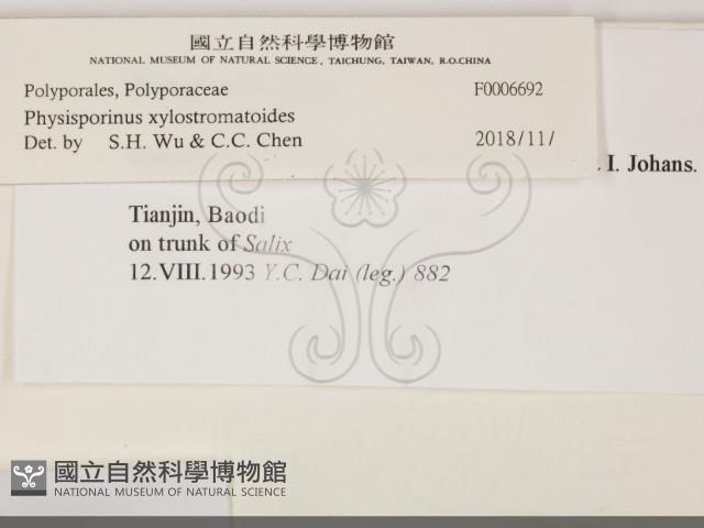 登錄號:F0006692藏品圖，第2張