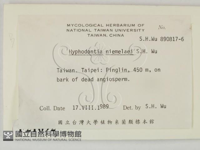 登錄號:F0021692藏品圖，第2張