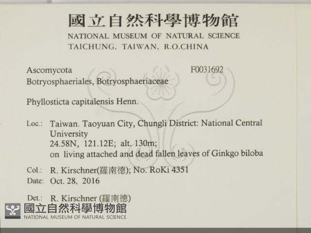 登錄號:F0031692藏品圖，第2張