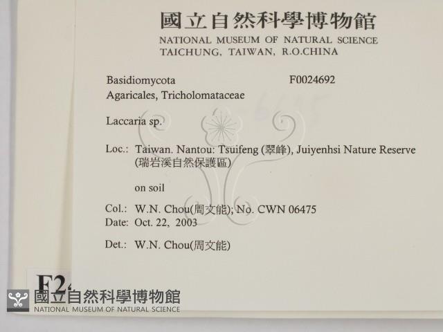 登錄號:F0024692藏品圖，第2張