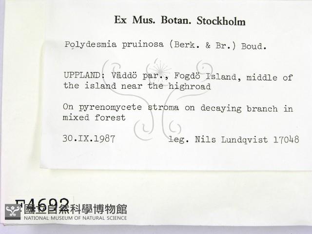 登錄號:F0004692藏品圖，第2張