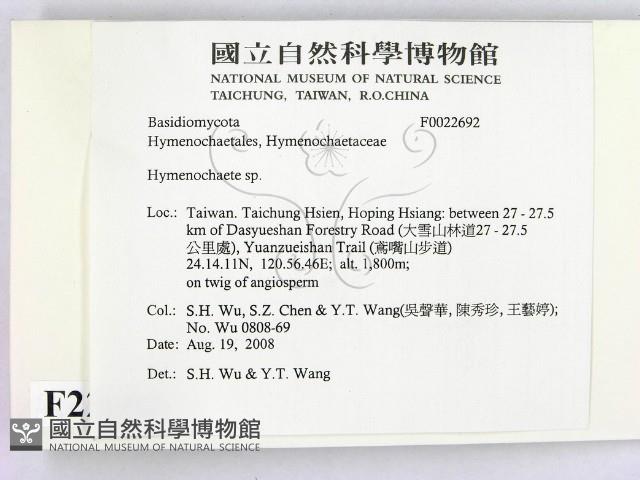 刺革菌屬藏品圖，第2張