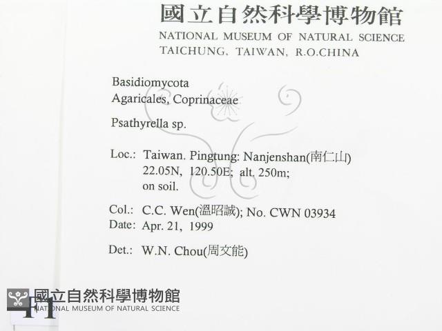 登錄號:F0012692藏品圖，第2張
