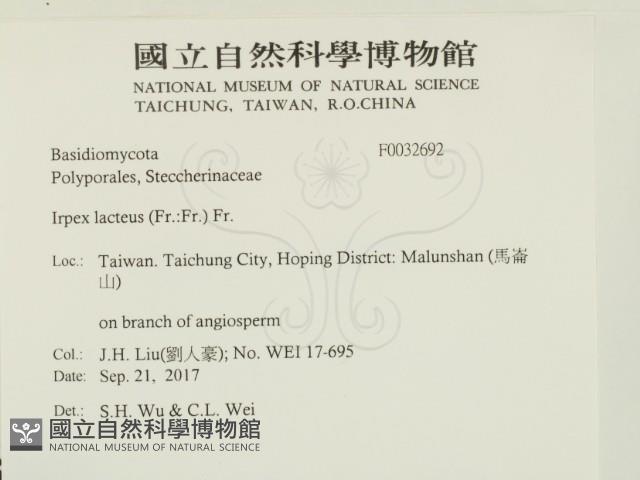 登錄號:F0032692藏品圖，第2張