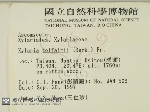 登錄號:F0007692藏品圖，第2張