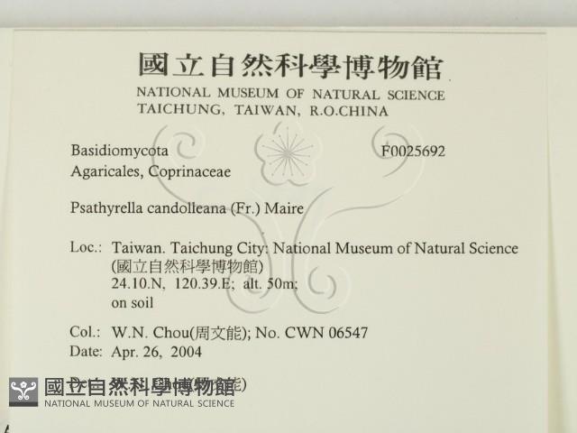 登錄號:F0025692藏品圖，第2張