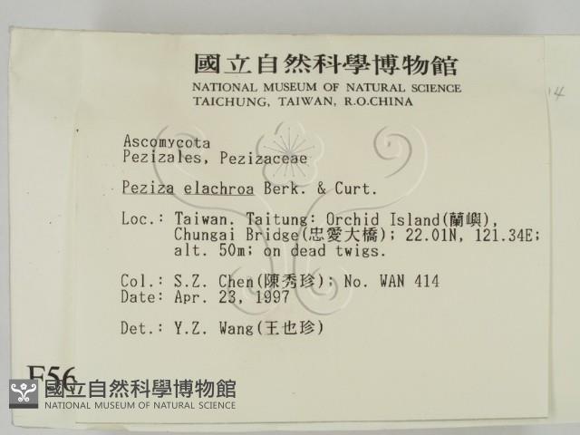 登錄號:F0005692藏品圖，第2張