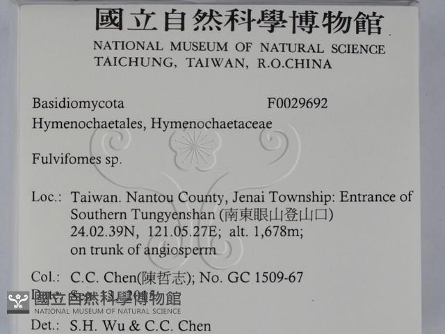 登錄號:F0029692藏品圖，第2張