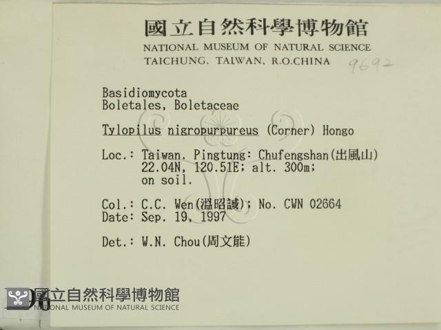 登錄號:F0009692藏品圖，第2張