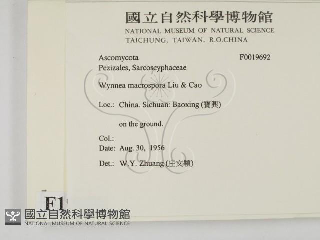 登錄號:F0019692藏品圖，第2張