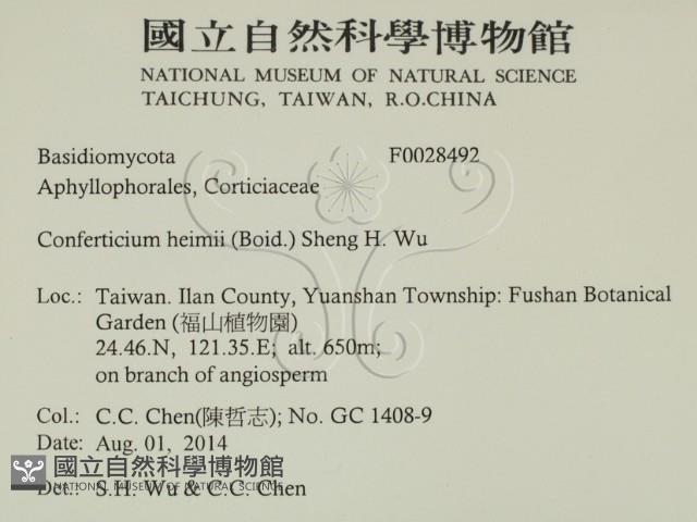登錄號:F0028492藏品圖，第2張