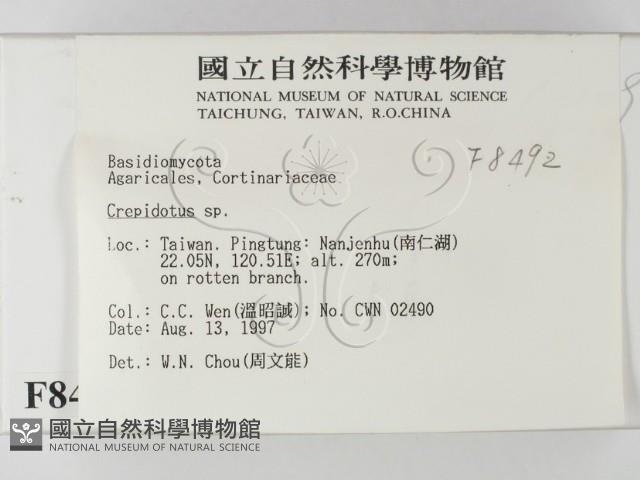 登錄號:F0008492藏品圖，第2張