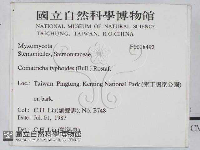 登錄號:F0018492藏品圖，第2張