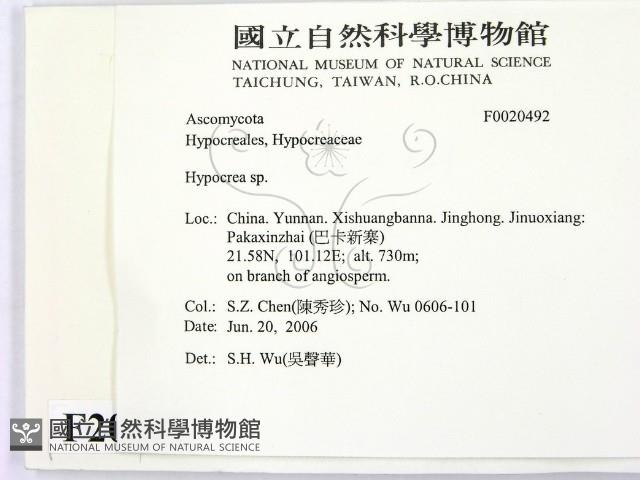 登錄號:F0020492藏品圖，第2張