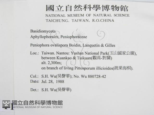 登錄號:F0010492藏品圖，第2張
