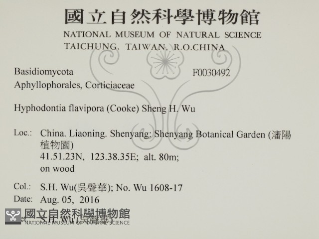 登錄號:F0030492藏品圖，第2張